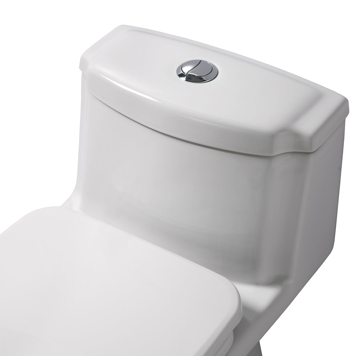 Eco-Friendly One Piece Toilet with a Siphonic Action Dual Flush System, Elongated Bowl 1.6/1.1 GPF