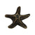 Solid brass starfish-shaped knob