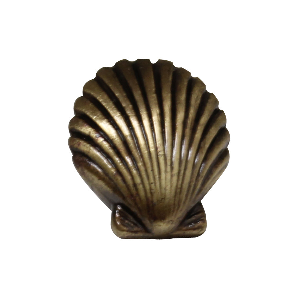Solid brass seashell-shaped knob
