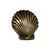 Solid brass seashell-shaped knob