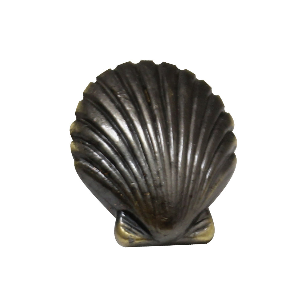 Solid brass seashell-shaped knob