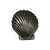 Solid brass seashell-shaped knob