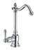 Point of Use Instant Hot Water Drinking Faucet with Traditional Swivel Spout