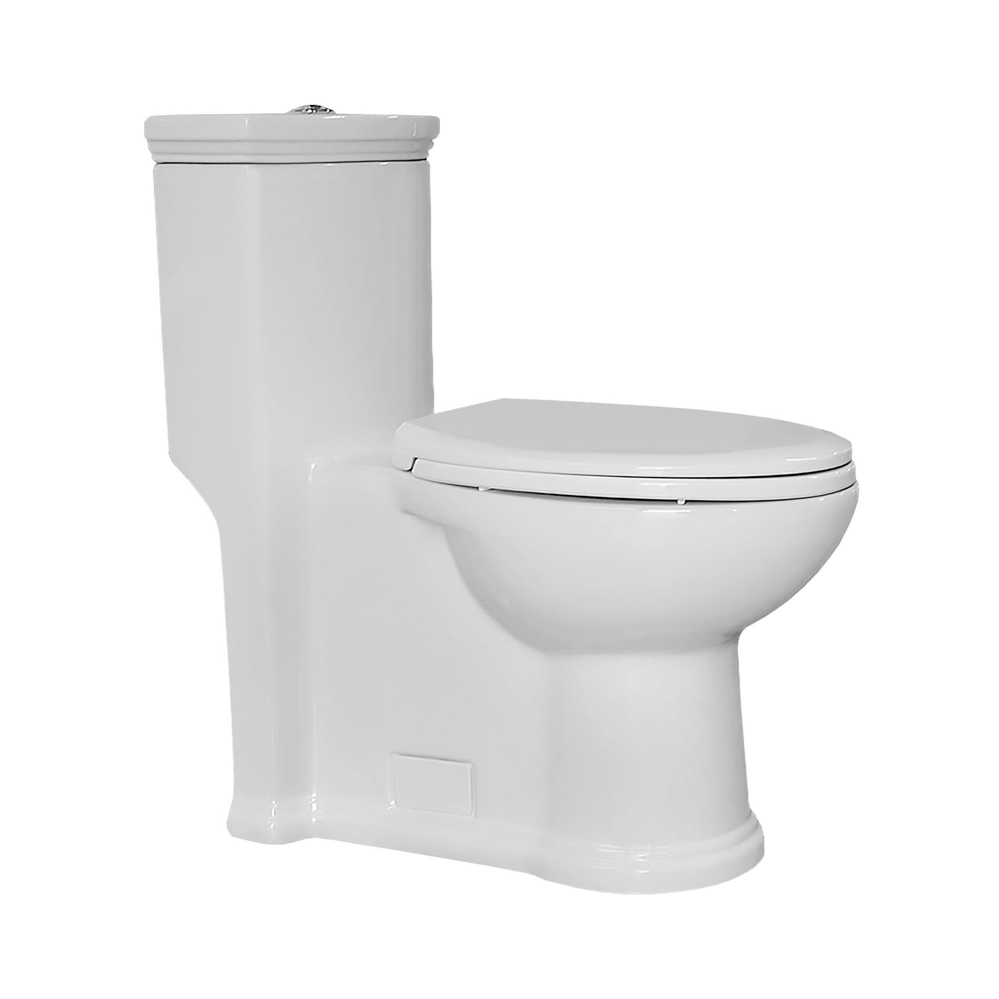 Eco-friendly one piece toilet with a siphonic action dual flush