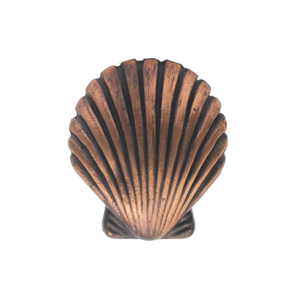 Solid brass seashell-shaped knob.